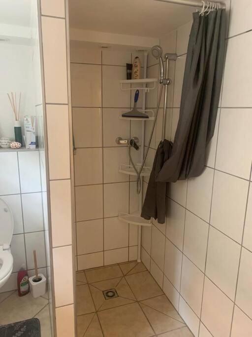 Appartamento Souterrain Whg Im Einfamilienhaus -Zentral In Frankfurt Francoforte sul Meno Esterno foto